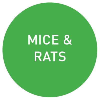 easytrap-roundel-advice-mice-and-rats