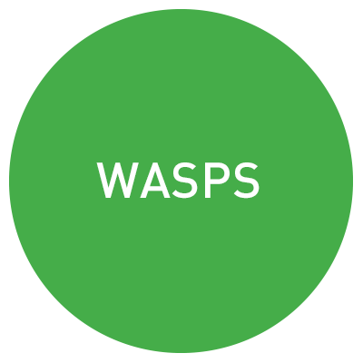 easytrap-roundel-advice-wasps